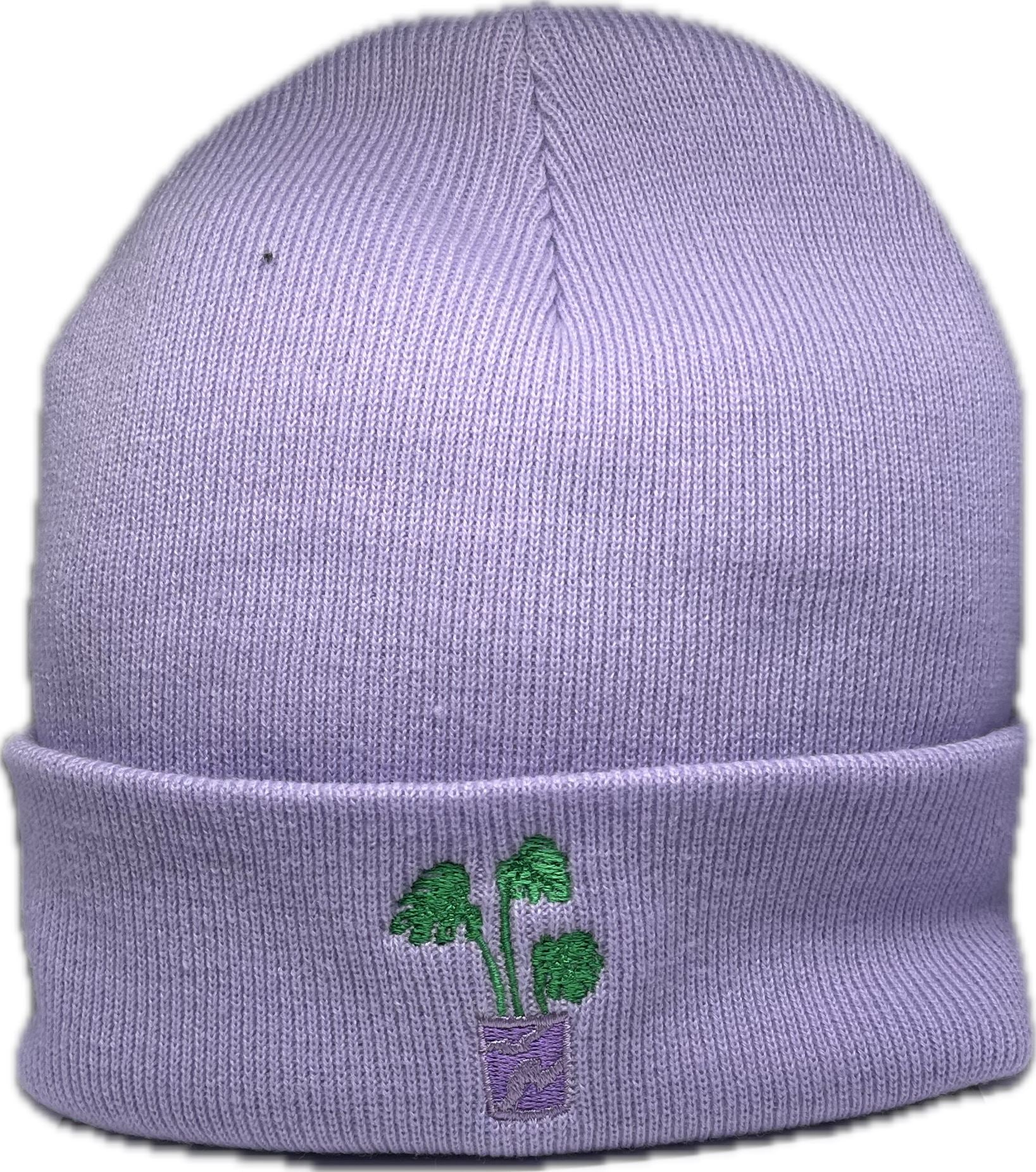 Cheese Plant Beanie